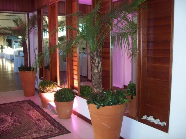 Decoração de evento da Casa Flor 17