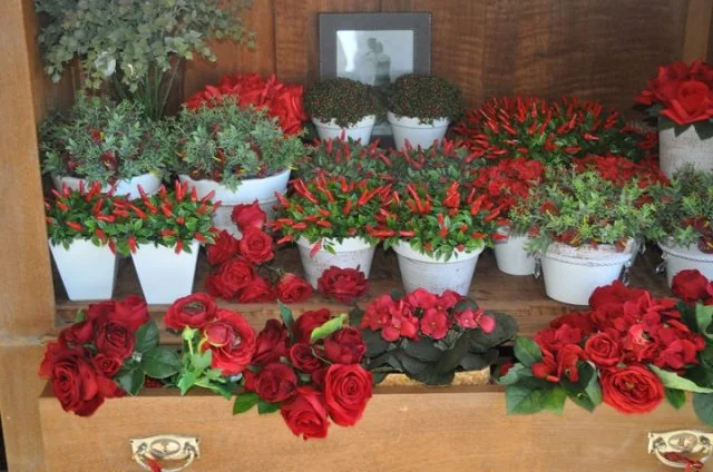 Registro da Casa Flor — inauguração 16