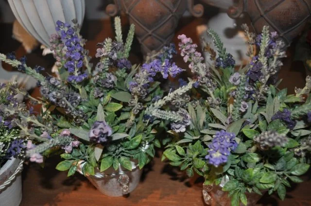 Registro da Casa Flor — inauguração 51
