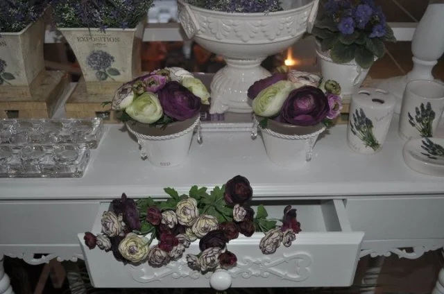 Registro da Casa Flor — inauguração 57